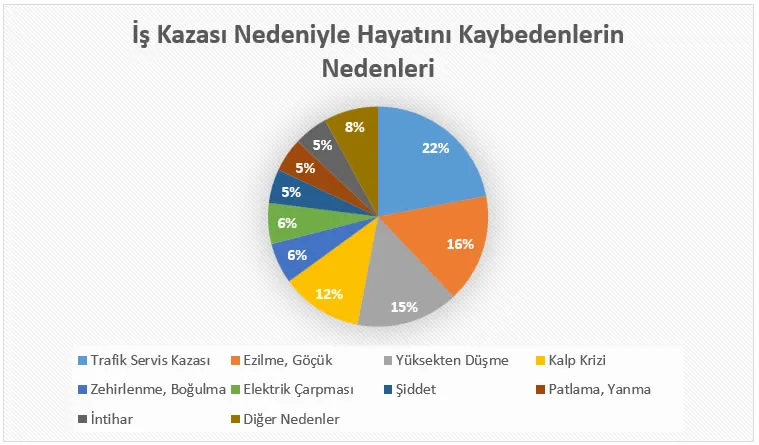 Nedenlere göre iş kazası ölümlerinin dağılımını gösteren pasta grafik