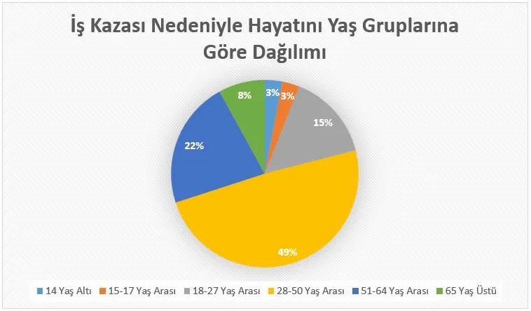 Yaş gruplarına göre iş kazası ölümlerinin dağılımını gösteren pasta grafik